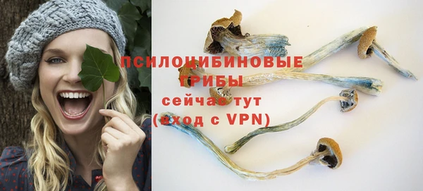 метадон Медногорск