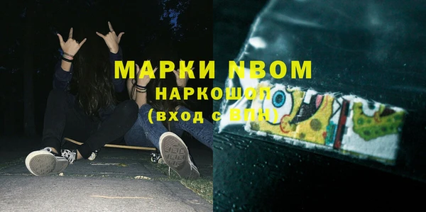 гидра Абаза