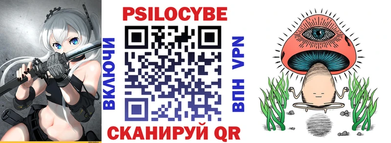 как найти закладки  Североуральск  Галлюциногенные грибы Psilocybe 