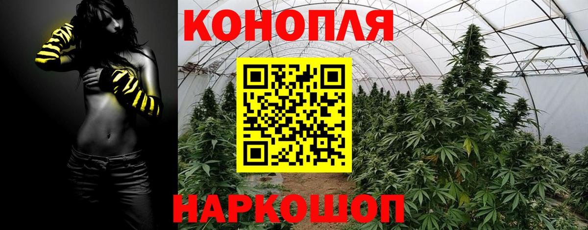 Бошки Шишки план Североуральск